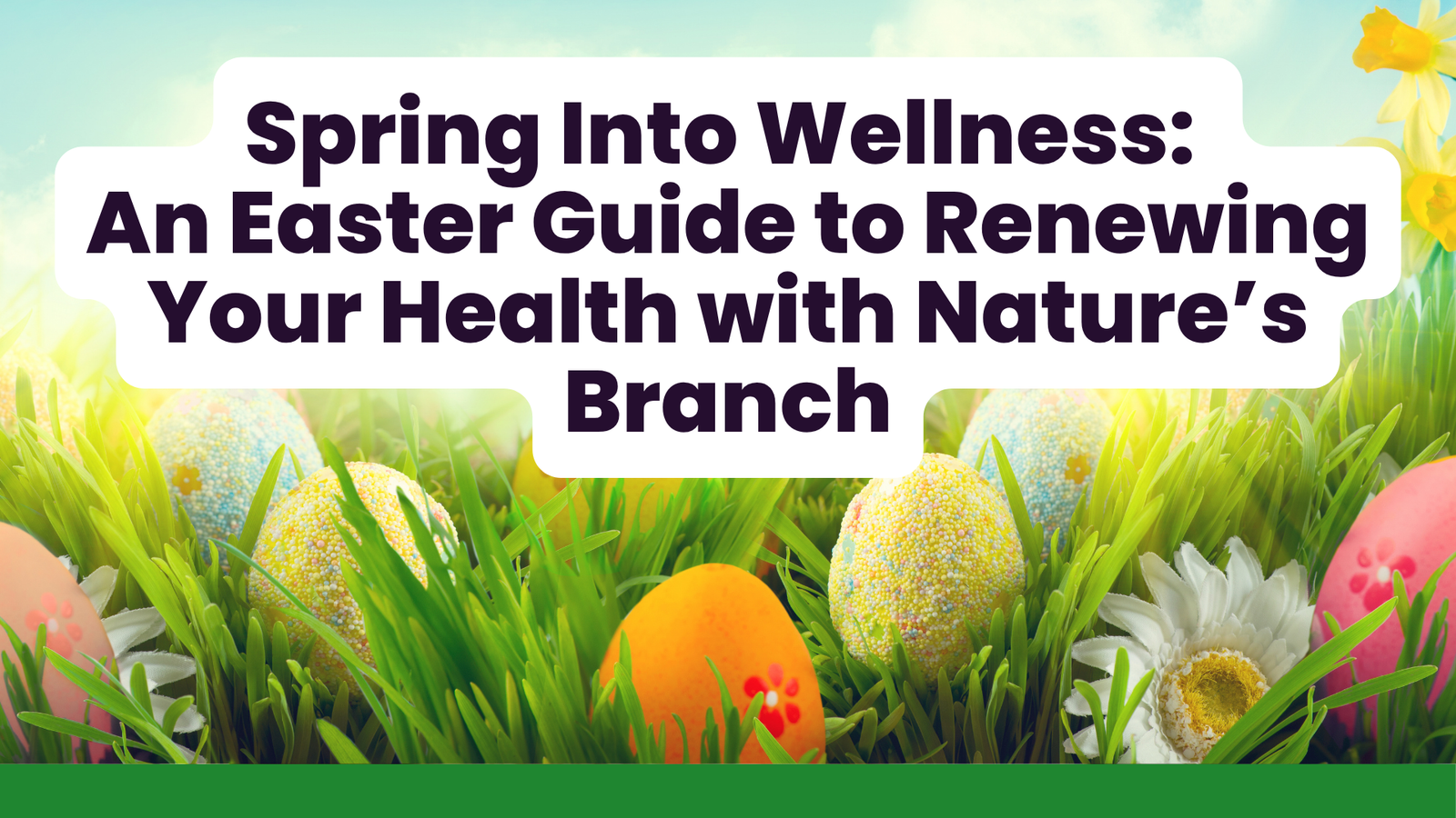 Spring Into Wellness: An Easter Guide to Renewing Your Health with Nature’s Branch