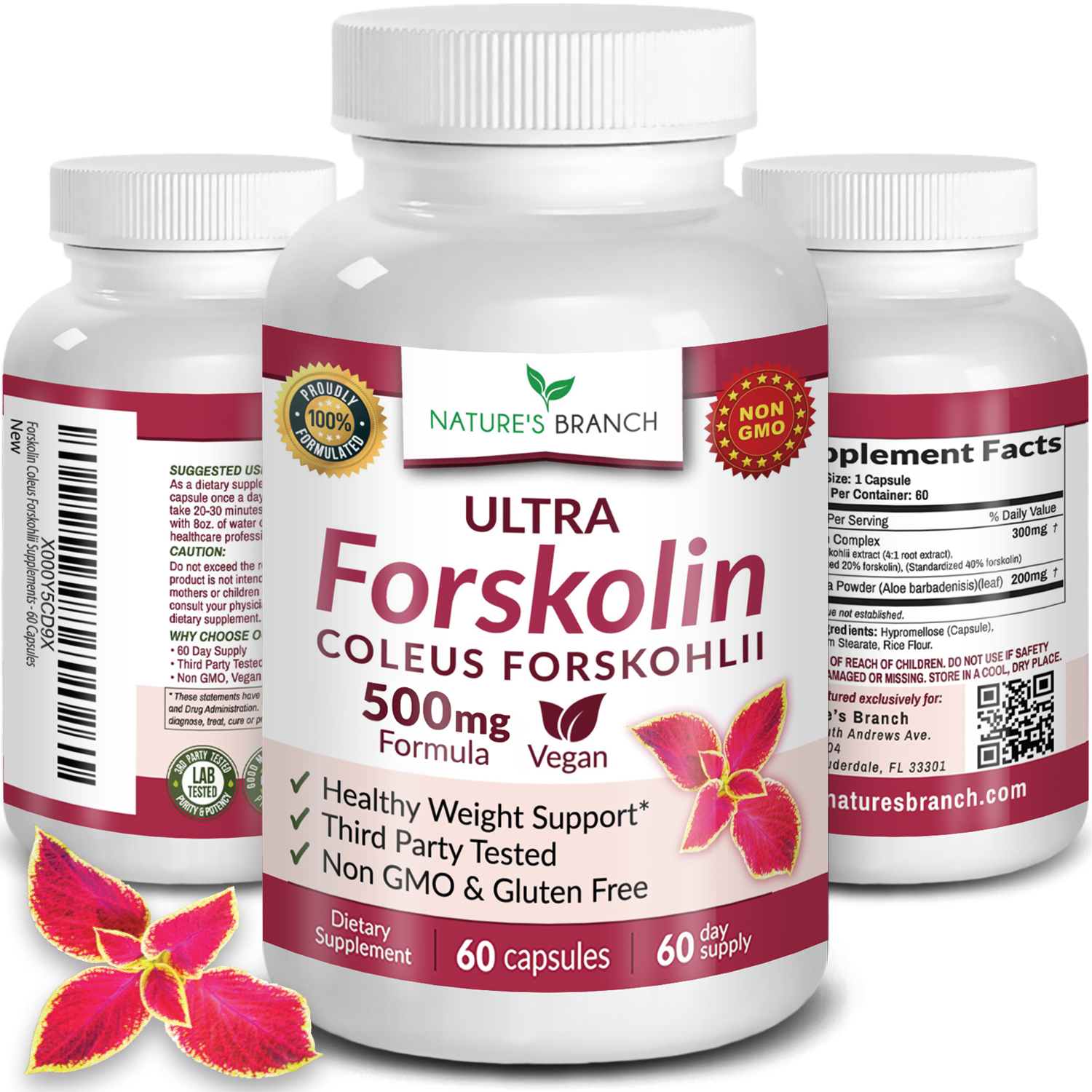 Nature's Branch Forskolin three bottles