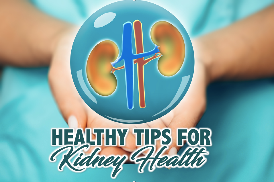 An open hand and kidneys inside a bubble with a text "Healthy Tips for Kidney Health"