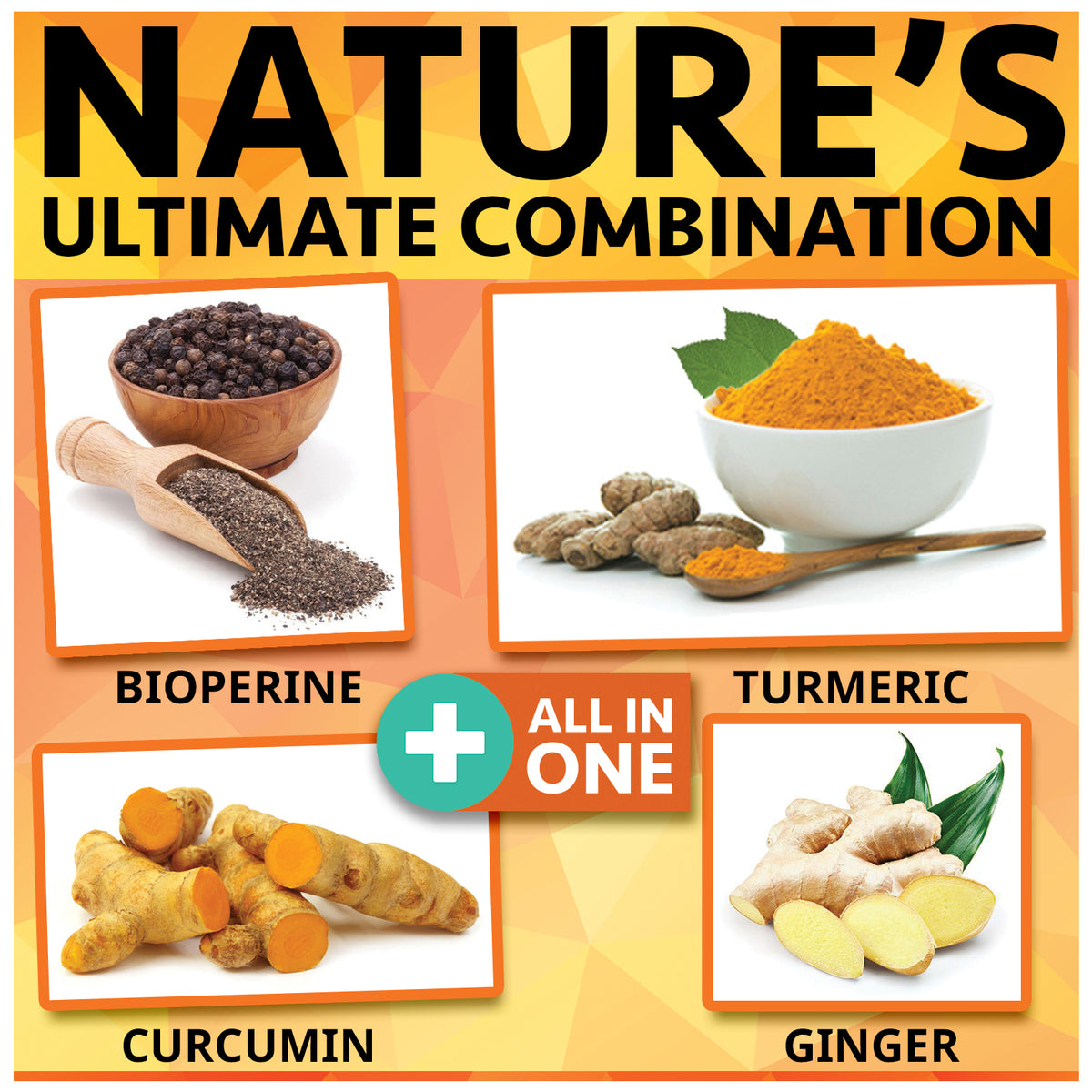 A combination infographic of turmeric curcumin ginger and bioperine