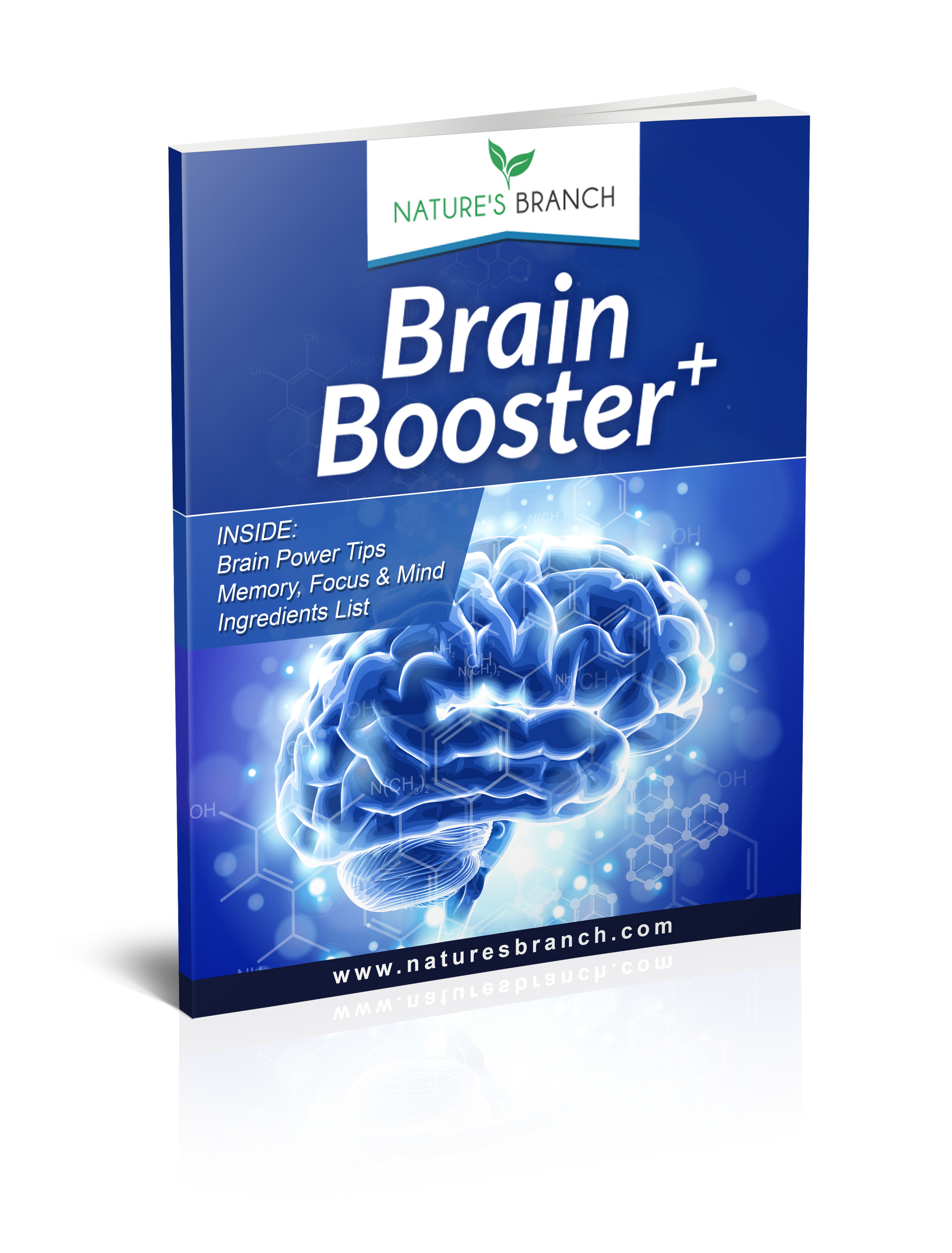 Nature's Branch Brain Booster Training eBook for Focus Memory and Clarity exercises