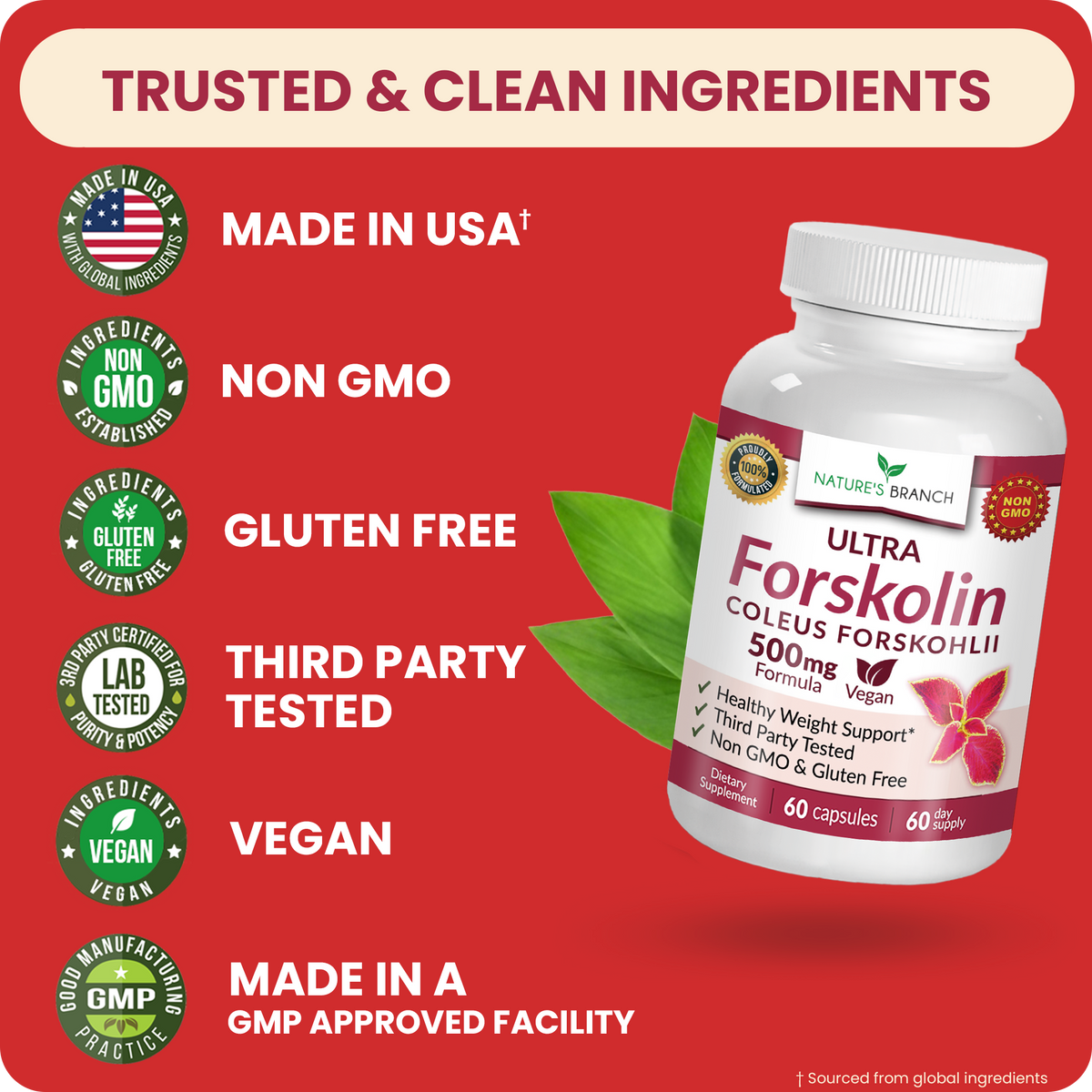 Nature's Branch Forskolin non gmo third party tested and vegan