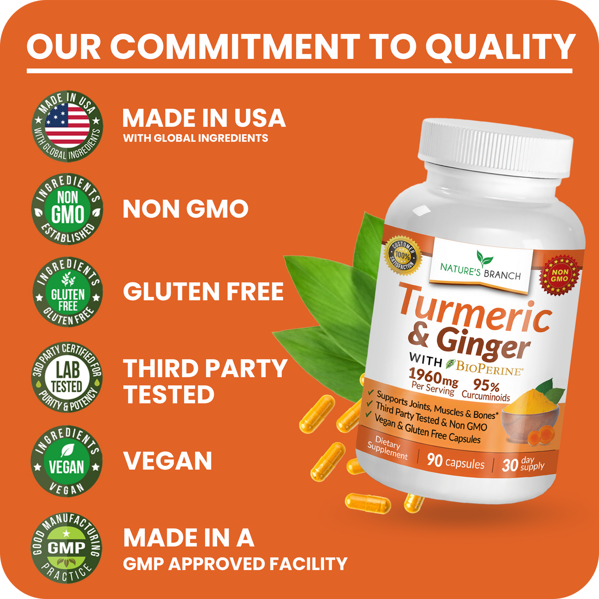 Nature's Branch Turmeric and Ginger bottle with leaves and orange pills