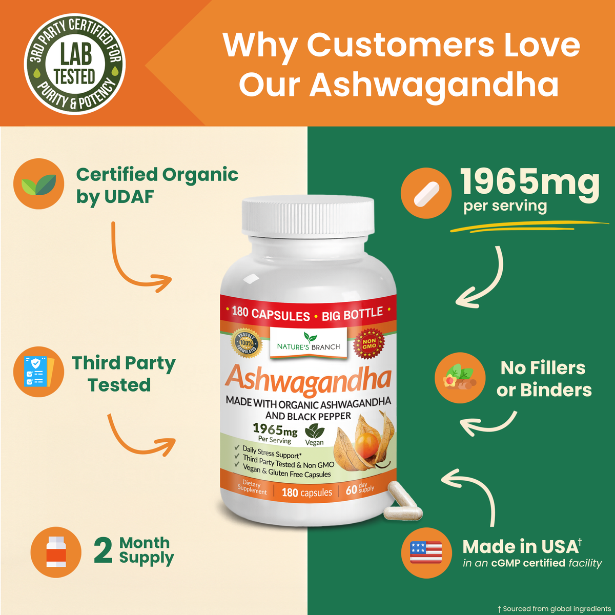 Nature's Branch Ashwagandha bottle with white capsules on a cream and green background with benefits
