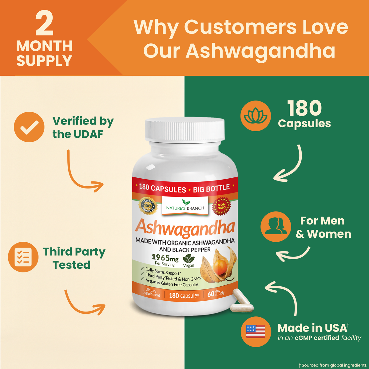 Nature&#39;s Branch Ashwagandha bottle surrounded by benefits on a green and orange background