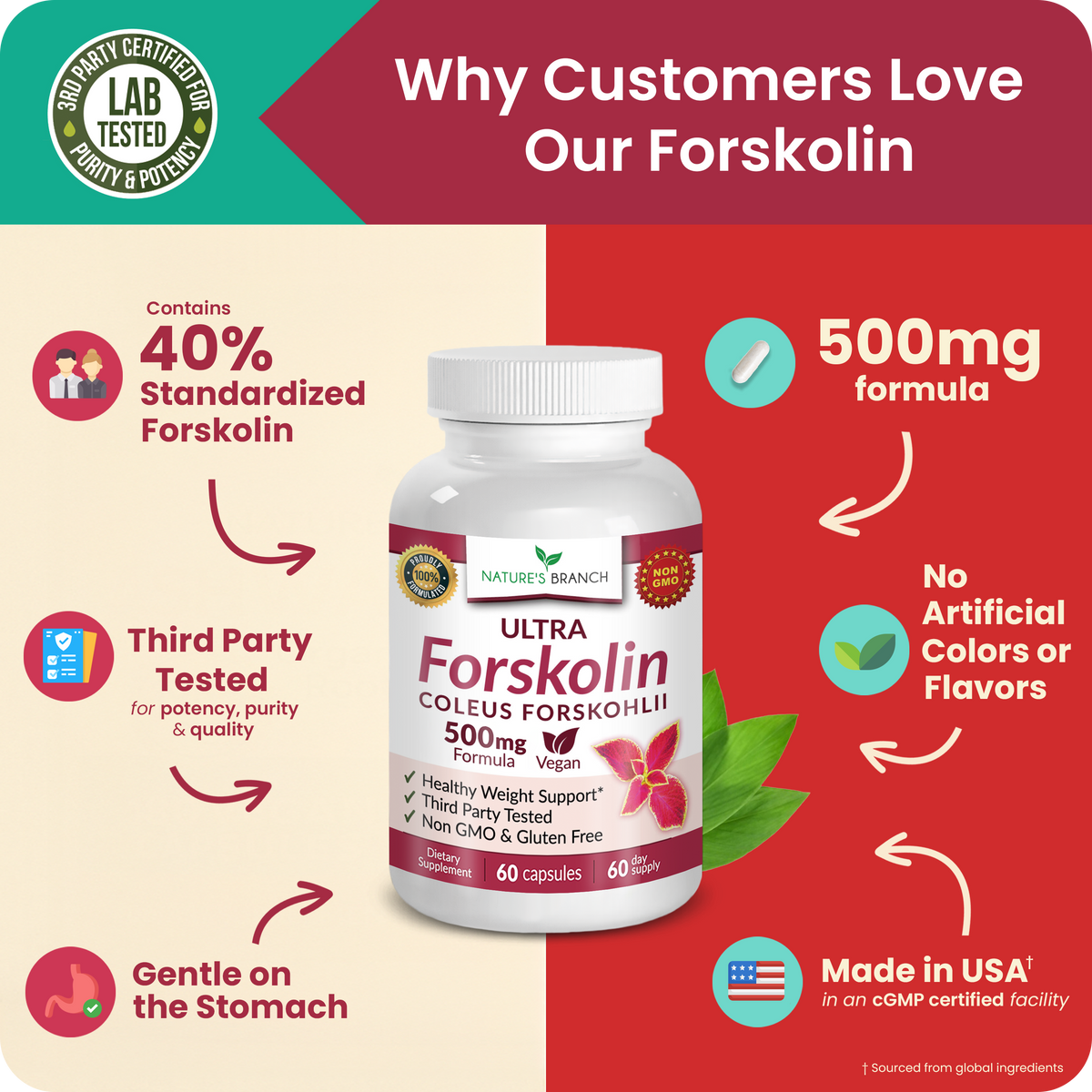 Nature's Branch Forskolin benefits with arrows and logos