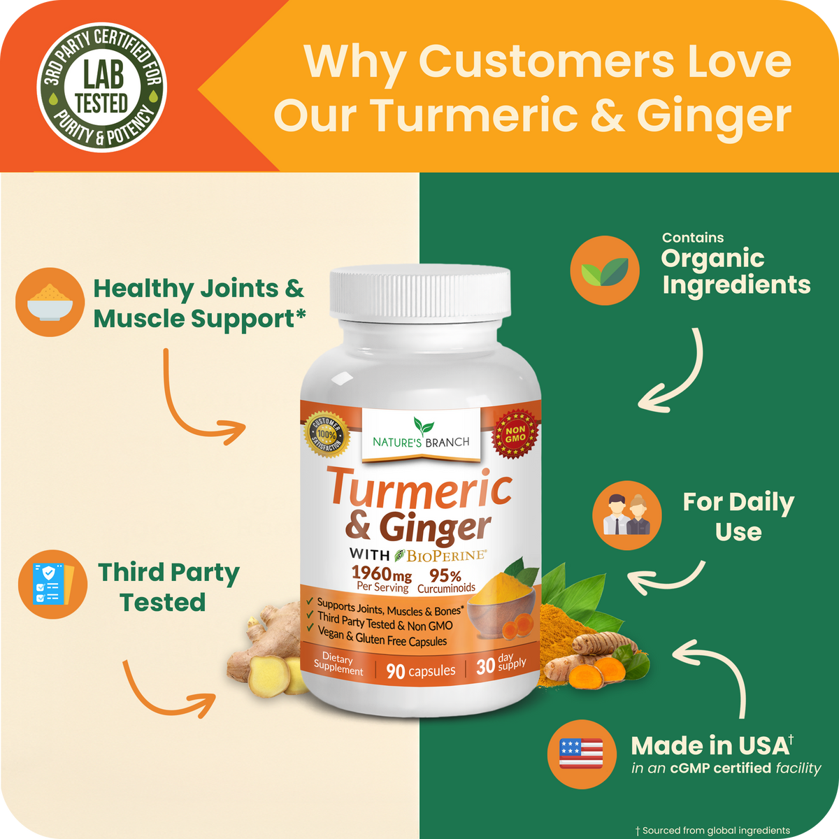 Nature's Branch Turmeric & Ginger supplement bottle with promotional text on a green and beige background