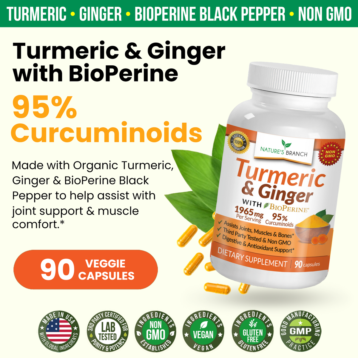 Nature&#39;s Branch Turmeric and Ginger supplement with green leaves and orange capsules made with organic turmeric