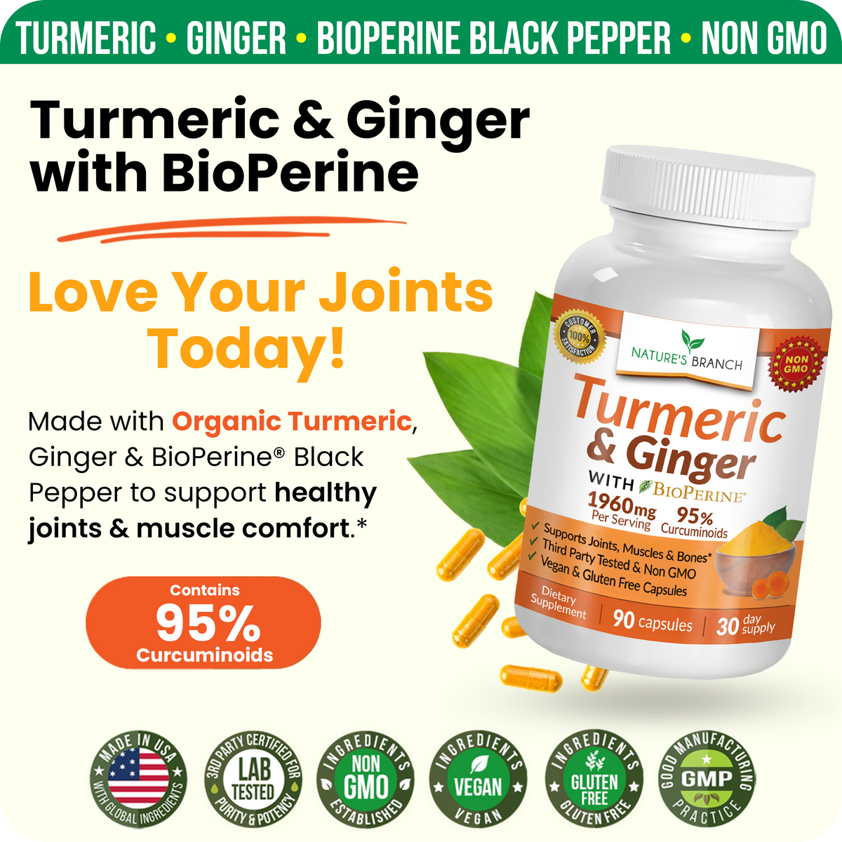 Supplement bottle labeled 'Turmeric & Ginger with BioPerine' on a white background
