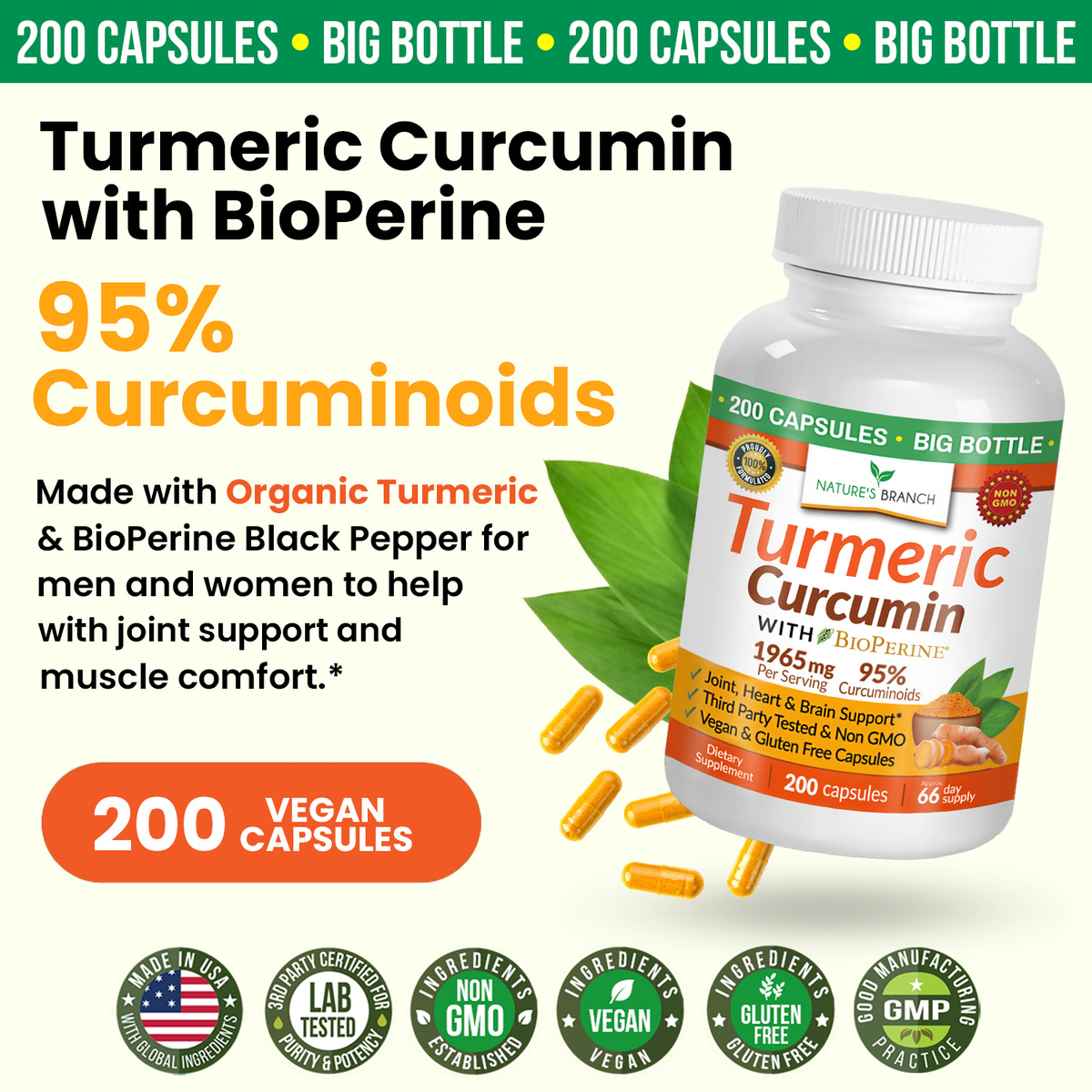Turmeric Curcumin with BioPerine supplement bottle on a white background
