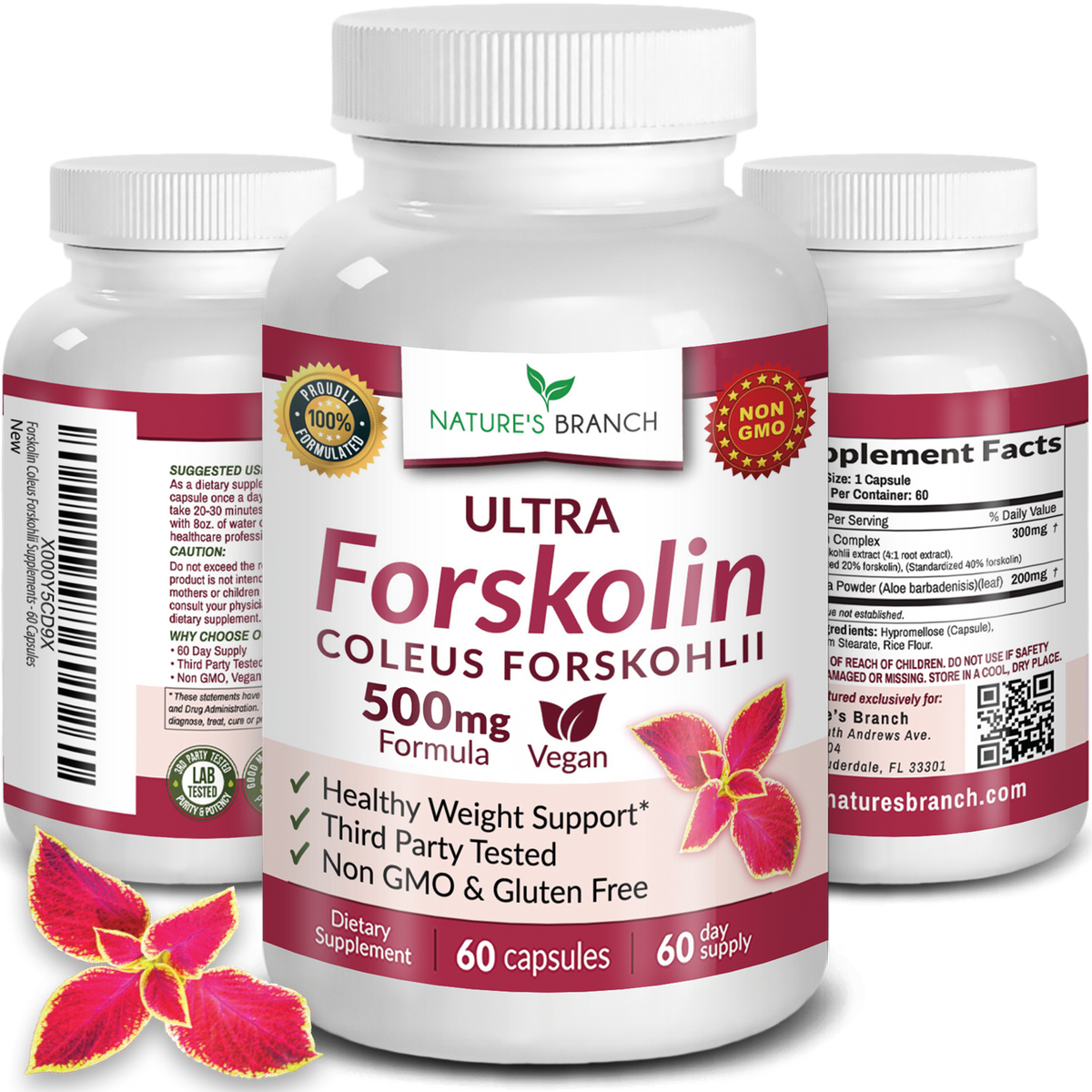 Nature's Branch Forskolin three bottles